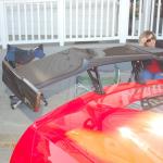 cambriaDR_0164 (November 02, 2019)